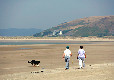 Picture of Swn-Y-Mor Holiday Park, Ceredigion, Wales