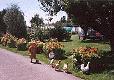 Picture of The Lillies Caravan Park, West Sussex Picture of The Lillies Caravan Park, West Sussex