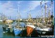 Picture of Ferrybank Camping and Caravan Park, Wexford