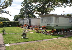 Picture of Homestead Caravan Park, Staffordshire