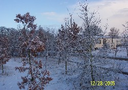 Picture of Newlands Holiday Homes, Lincolnshire Picture of Newlands Holiday Homes, Lincolnshire