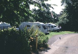 Picture of Crystal Palace Caravan Club Site, London, South East England Picture of Crystal Palace Caravan Club Site, London, South East England