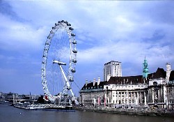 Picture of Crystal Palace Caravan Club Site, London, South East England Picture of Crystal Palace Caravan Club Site, London, South East England