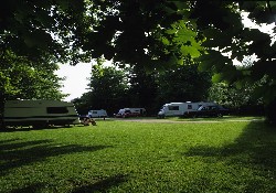 Picture of Crystal Palace Caravan Club Site, London, South East England Picture of Crystal Palace Caravan Club Site, London, South East England