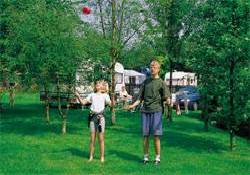 Picture of Crystal Palace Caravan Club Site, London Picture of Crystal Palace Caravan Club Site, London
