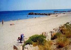 Picture of Les Tamaris, Hérault Picture of Les Tamaris, Hérault