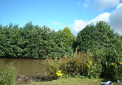 Picture of Woodhouse Farm C & C Park, North Yorkshire, North of England