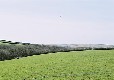 Picture of Southdown Caravan Park, West Sussex Picture of Southdown Caravan Park, West Sussex