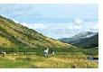 Picture of Hetherick Caravan Park, Durham Picture of Hetherick Caravan Park, Durham