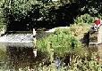 Picture of Island Meadow Caravan Park, Warwickshire Picture of Island Meadow Caravan Park, Warwickshire