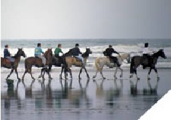 Picture of Sunelia Interlude, Charente-Maritime Picture of Sunelia Interlude, Charente-Maritime