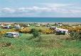 Picture of New England Bay Caravan Club Site, Dumfries & Galloway