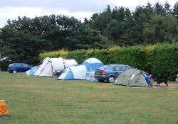 Picture of Roundwood Caravan And Camping Park, Wicklow