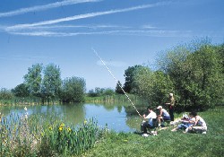 Picture of Sunelia Les Bois du Bardelet****, Loiret Picture of Sunelia Les Bois du Bardelet****, Loiret