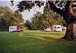 Picture of Old Down Touring Park, Somerset