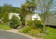Picture of Cenarth Falls Holiday Park, Ceredigion, Wales