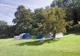 The Orchard