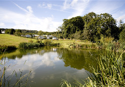 Wood Farm