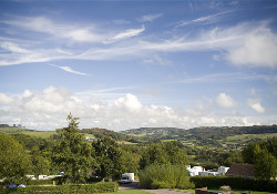 Wood Farm 