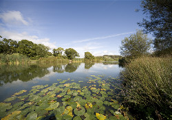 Wood Farm
