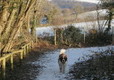 Picture of Dolbeare Park, Cornwall, South West England