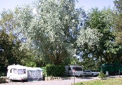 Picture of Bath Marina & Caravan Park, Somerset Picture of Bath Marina & Caravan Park, Somerset