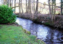 Picture of Gatebeck Park, Cumbria Picture of Gatebeck Park, Cumbria