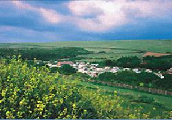 Picture of Sheepcote Valley Caravan Club Site, West Sussex Picture of Sheepcote Valley Caravan Club Site, West Sussex