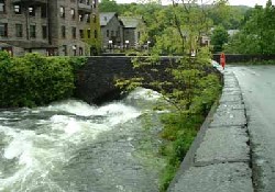 Picture of Old Park Wood Caravan Park, Cumbria Picture of Old Park Wood Caravan Park, Cumbria