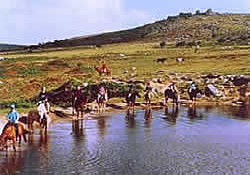 Picture of Higher Longford Caravan and Camping Park, Devon