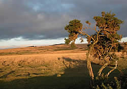 Picture of Higher Longford Caravan and Camping Park, Devon