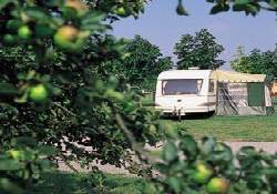 Picture of Burford Caravan Club Site, Oxfordshire Picture of Burford Caravan Club Site, Oxfordshire