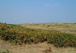 Winterton Valley Winterton Valley