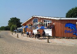 The Dolphin Bar The Dolphin Bar