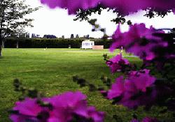 Picture of Rowan Park, West Sussex Picture of Rowan Park, West Sussex