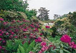 Picture of Normanhurst Court Caravan Club Site, East Sussex Picture of Normanhurst Court Caravan Club Site, East Sussex
