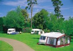 Picture of Normanhurst Court Caravan Club Site, East Sussex Picture of Normanhurst Court Caravan Club Site, East Sussex