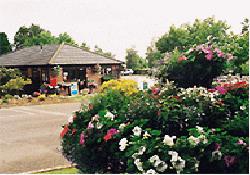 Picture of Alderstead Heath Caravan Club Site, Surrey Picture of Alderstead Heath Caravan Club Site, Surrey