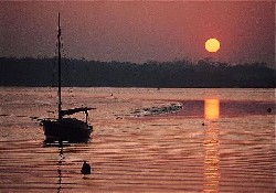 Picture of Homestead Lake Country Park, Essex Picture of Homestead Lake Country Park, Essex