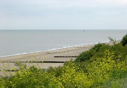 Picture of Homestead Lake Country Park, Essex Picture of Homestead Lake Country Park, Essex