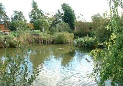 Picture of Homestead Lake Country Park, Essex Picture of Homestead Lake Country Park, Essex