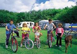 Picture of Pembrey Country Park Caravan Club Site, Carmarthenshire