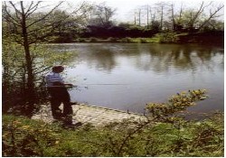 Picture of Little Lakeland Caravan Park, Norfolk