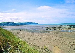 Picture of Widemouth Bay Caravan Park (John Fowler Holiday Park), Cornwall