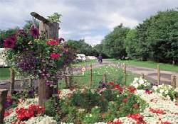 Picture of Presthope Caravan Club Site, Shropshire Picture of Presthope Caravan Club Site, Shropshire