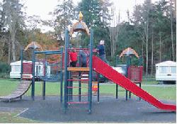 Picture of Faskally Caravan Park, Perth & Kinross Picture of Faskally Caravan Park, Perth & Kinross