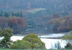 Picture of Faskally Caravan Park, Perth & Kinross Picture of Faskally Caravan Park, Perth & Kinross