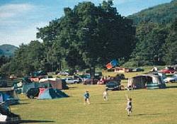 Picture of Faskally Caravan Park, Perth & Kinross Picture of Faskally Caravan Park, Perth & Kinross