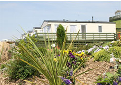 Picture of Auchenlarie Holiday Park, Dumfries & Galloway Picture of Auchenlarie Holiday Park, Dumfries & Galloway