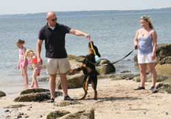 Picture of Auchenlarie Holiday Park, Dumfries & Galloway Picture of Auchenlarie Holiday Park, Dumfries & Galloway